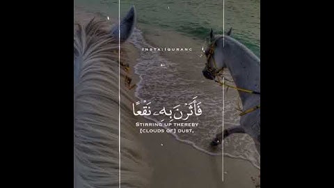 ﴿وَالعادِياتِ ضَبحًا﴾ [العاديات: ١] قرآن كريم _ quran