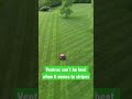 POPS & VINNY DOING THERE THING 🔥🔥 #ventrac #lawncare