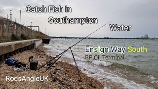 Catch Fish in Southampton Water: ENSIGN WAY South