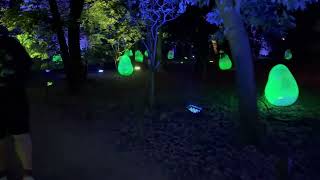 Mesmerizing Glowing Eggs at teamLab Botanical Garden Osaka 🌳✨