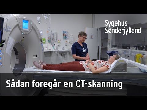 Video: Esther Er Det Største Dyret Som Noensinne Har Mottatt En CT-skanning I Canada