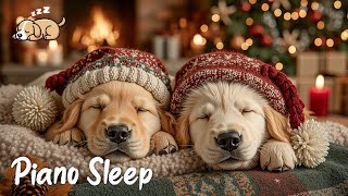 Relaxing Piano Music for Dogs ~ Dog Sleep Music Piano | Soothing Puppy Deep Sleep Aids screenshot 4