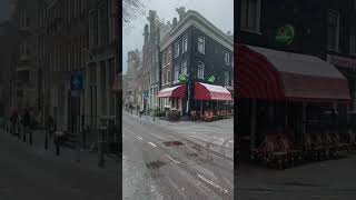 Winter Beauty In Amsterdam