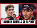 ¡COLAPINTO YA LE GANA EN TODO A GASLY Y ALPINE NO SABE QUÉ HACER!