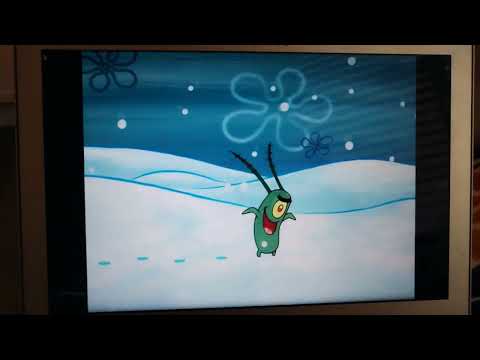 Plankton snow (for Celericius)
