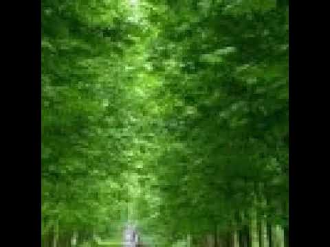 [TJ노래방라운지] 바닷가의추억 - 키보이스