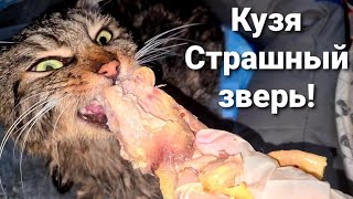 #2 ПРОГРЕСС  у Кузи. Распаковка посылки с Москвы🥳