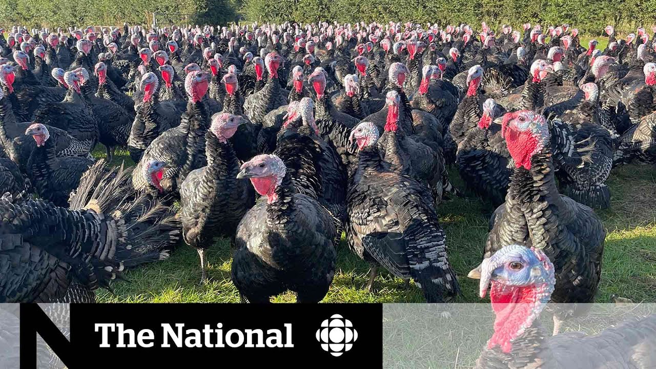 Brexit takes toll on U.K. supply chain, agriculture sector