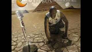 Watch Canibus Liquid Wordz video