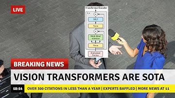 On the Robustness of Vision Transformers to Adversarial Examples (Introductory Video)