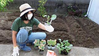 狭い庭先で野菜作り！生栗からモンブランクリームを手作り！