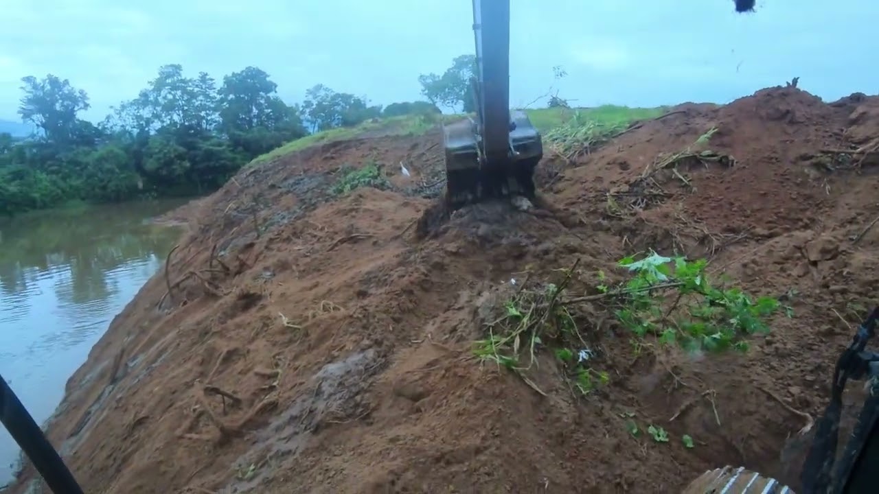 continuando carregando os brutos