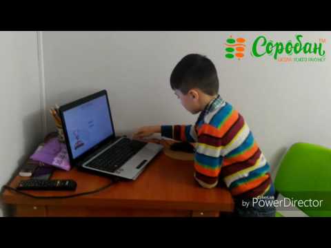 Embedded video