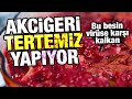 AKCİĞERLERİMİZİ TERTEMİZ YAPAN BESİNLER! Akciğeri güçlendiren besinler! Akciğer temizleme