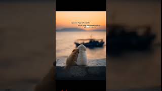 Assamese sairy#blog #fany #sairy