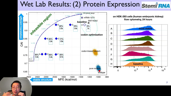 Efficient Algorithms for Optimized mRNA Sequence.....