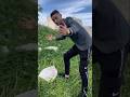 بينا طحتلو شيحاجا بينا طحتلو شيحاجا