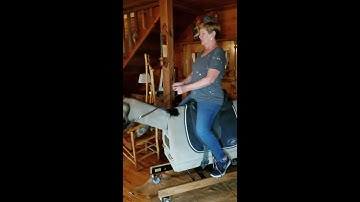 50 Plus Equestrian Dressage Pattern Practice on the Equicizer