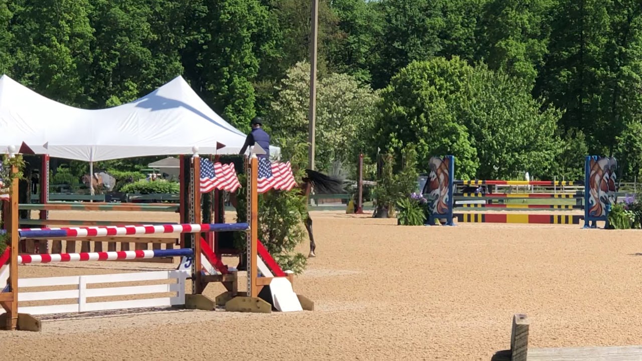 Renegade Rabbit Renegade Rabbit 🐇Hunter, Eq, Jumper - YouTube