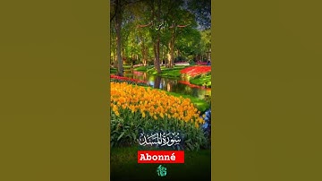 سورة المسد القرآن الكريم