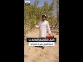 أرض مشتركة بين 50 شخص ا كيف يزرع سكان قرية الأقزام المحصول