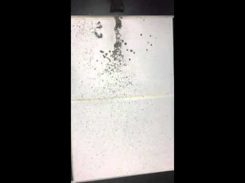 Demonstration of Horizontal Sorting at the Mouth of a Stream.