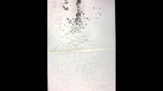 Demonstration of Horizontal Sorting at the Mouth of a Stream.