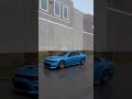 اواسي بقلبي وجروحي اواسي بقلبي وجروحي