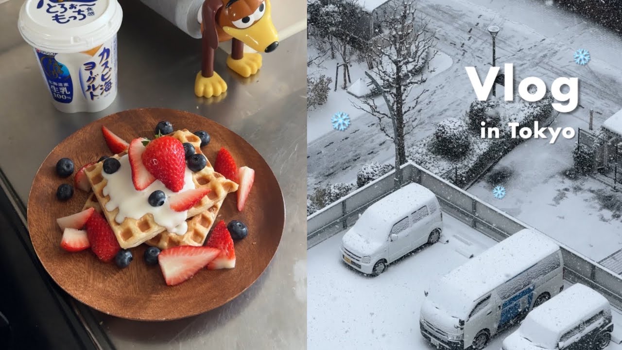도쿄 브이로그 | ☎️ 소소한 공지 | 집에서 만드는 야키소바, 시부야 샌드위치, 야식 불닭, 망해버린 크로플 | 눈이 내렸던 도쿄 일상 ❄️🐾