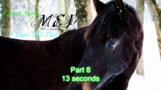 Equine MEP 2011 (Closed)