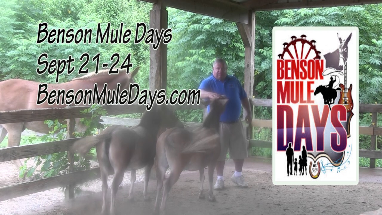 Mule Days Commercial 2017