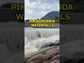 Pinjarikonda falls 😍 #pinjarikondawaterfalls #addateegala #nature #waterfalls