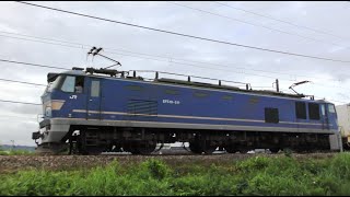 EF510-511牽引高速貨物【4K】信越本線下り4075レ