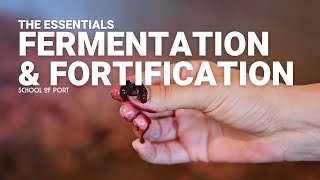 The Essentials - Ep 9 - Fermentation & fortification