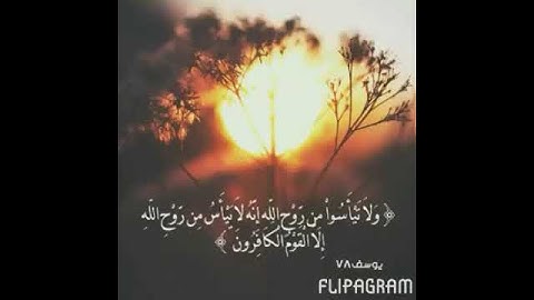 ولا تيأسوا من روح الله تلاوه رائعه الشيخ خالد الجليل