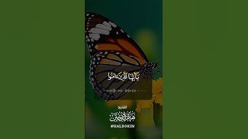 إِنَّ اللَّهَ وَمَلَائِكَتَهُ يُصَلُّونَ عَلَى النَّبِيِّ ۚ || القارئ هيثم الدخين