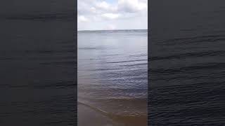 Горьковское водохранилище г. Чкаловск