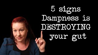 Shocking signs dampness is ruining your gut AND HOW TO FIX IT