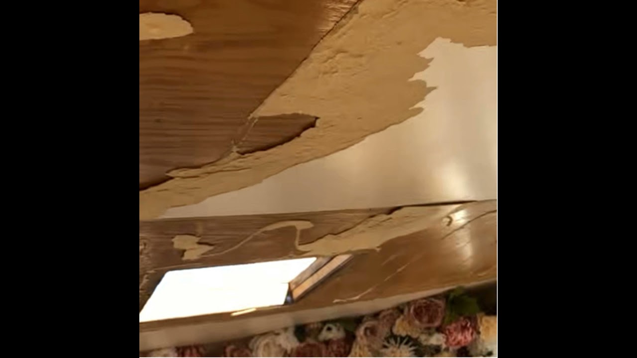 Part 2 Mobile Salon if you DIY = resilience to follow thru to the end alone