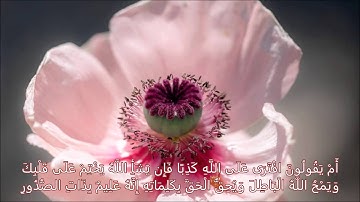 سورة الشورى الشيخ / مشاري العفاسي HD