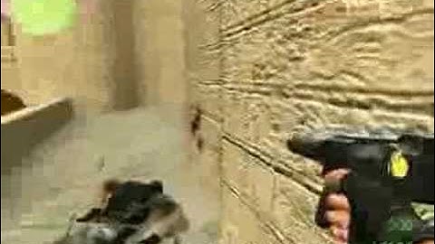 Counter-Strike Ownage with TMP (CS)