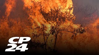 Maui residents had little warning before flames overtook their town. At least 55 people died