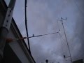 Protection for Roped Guys on a Tower or Mast