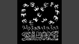 Miniatura de vídeo de "Horsey - Seahorse"