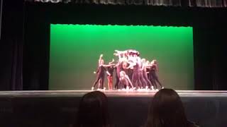 Lhs Dance Team 2017