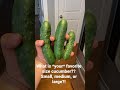 Favorite size cucumber?!