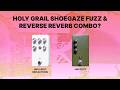 Is the JMA Early Reflections Reverb and Hybrid Fuzz the holy grail shoegaze pedal combo?
