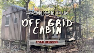 EP 13 SHED TO OFF GRID CABIN: living in it while we renovate in 8 weeks