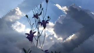 Sunrays 2017 0206