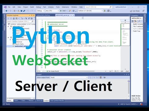 Python WebSocket Server Client Example 